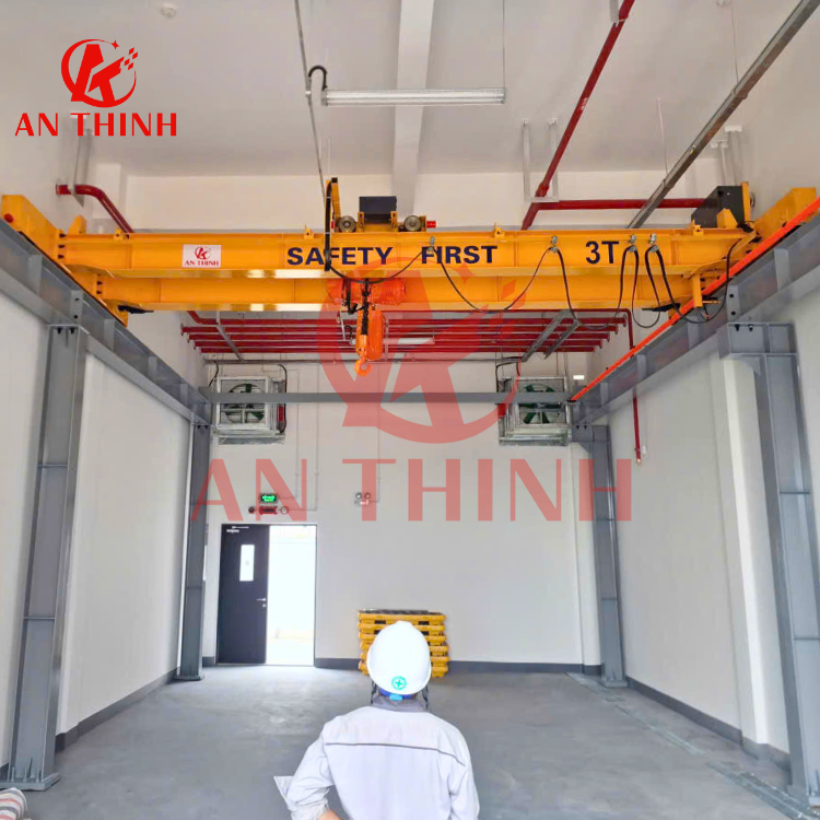 Chạy thử cầu trục 3 tấn dầm đôi