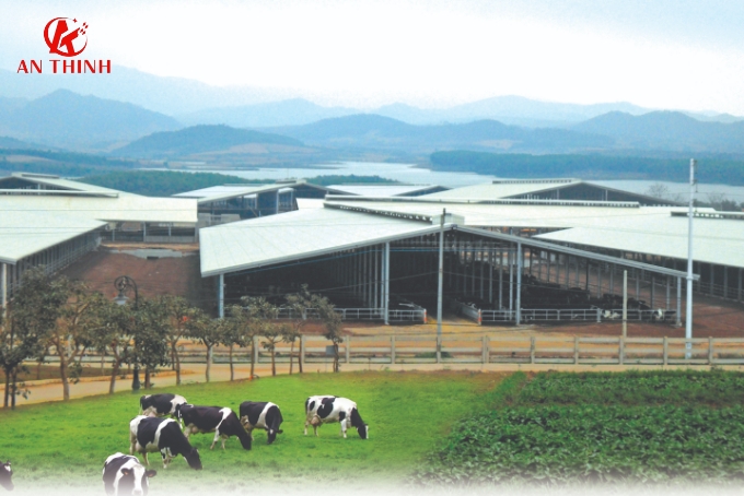 Giải pháp thiết kế & thi công nhà thép tiền chế cho trang trại công nghệ cao